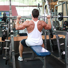 deltoids military press