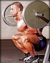 quadriceps squats