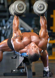 Weighted Bench Dips