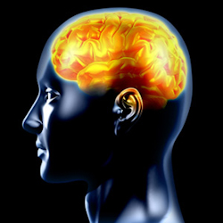 prevent stroke related brain damage