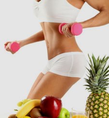 high fat diet