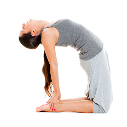 Meticulous Anusara Yoga